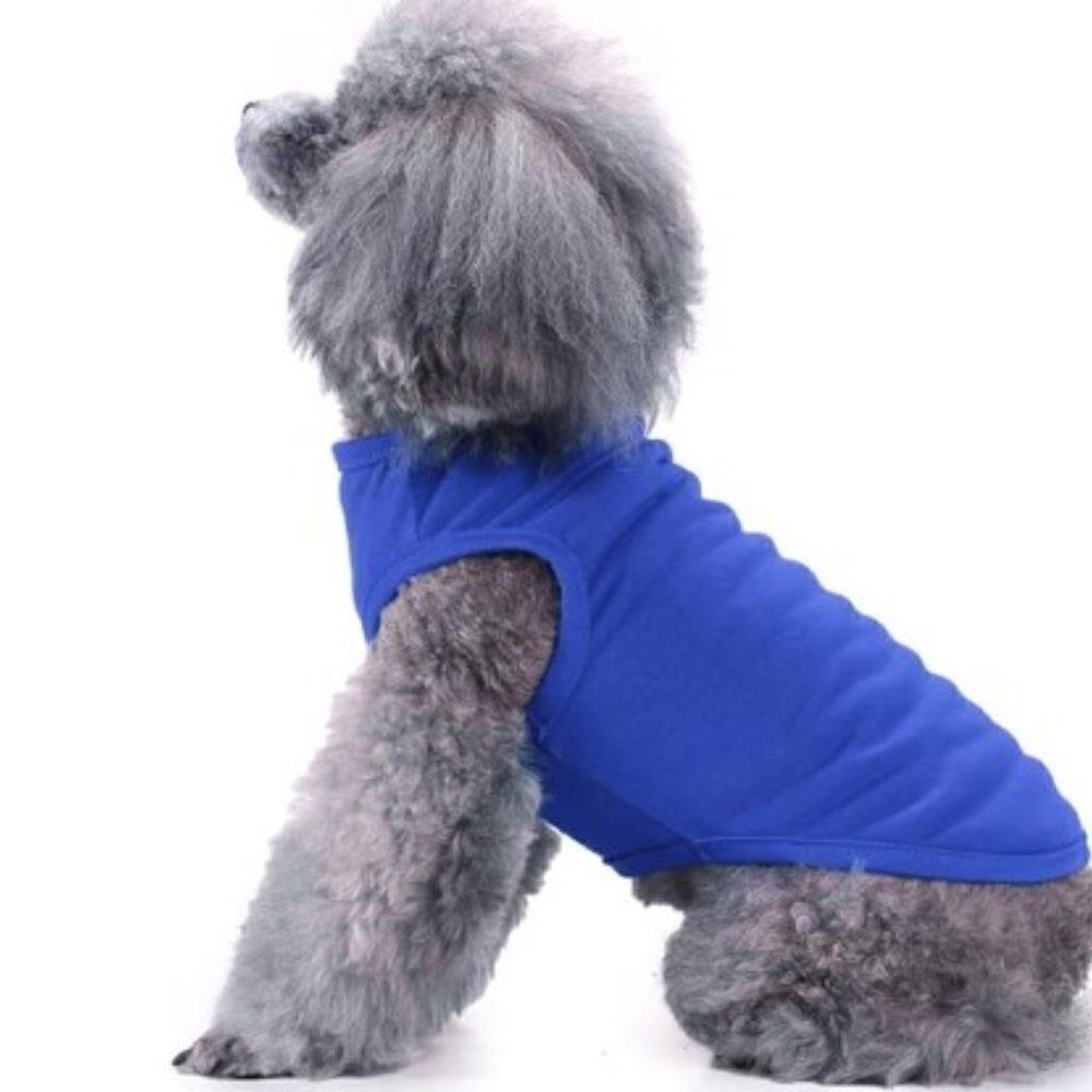 New Blue Dog T-Shirt (Size tag is incorrect)